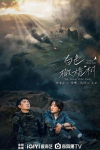 Белое оливковое дерево 1 сезон