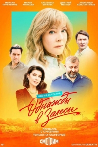 Однажды в Залесье 1 сезон