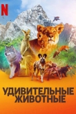 Удивительные животные 2 сезон