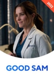 Хорошая Сэм / Добрая Сэм 1 сезон