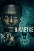 В клетке (2022)
