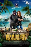 Шимпанзе под прикрытием (2022)