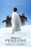 Пингвины (2022)
