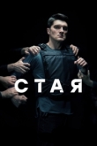 Стая 1 сезон
