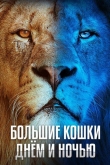 Большие кошки днём и ночью 2 сезон